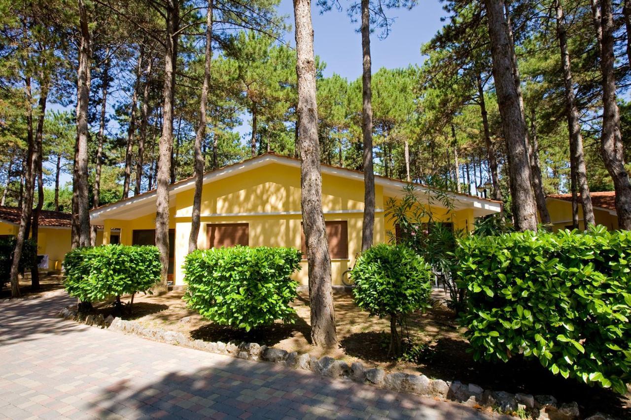 Villaggio Turistico Internazionale Бибионе Екстериор снимка